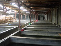 Bogor Farm 8