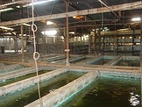 Jakarta Farm 3
